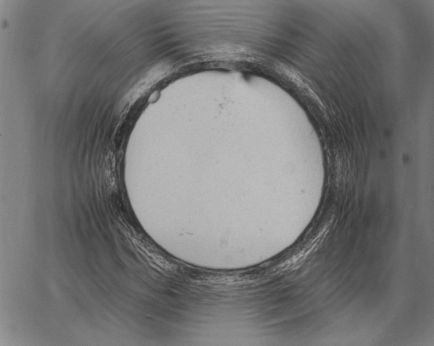 X0000066940970200604211746