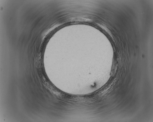 X0000066940971200604211746