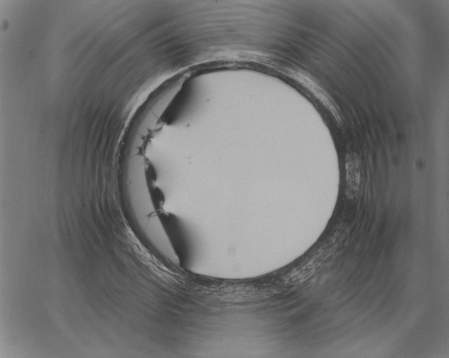 X0000066940972200604211746