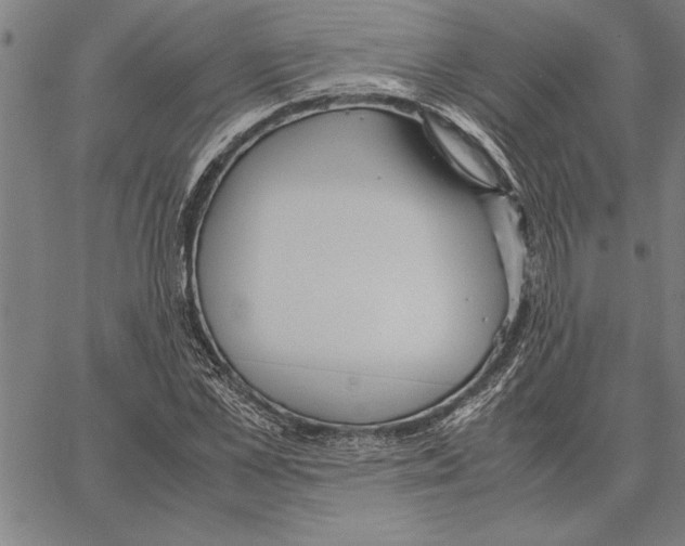 X0000066940973200604211746