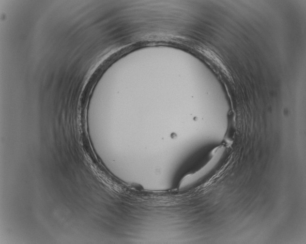 X0000066940976200604211746