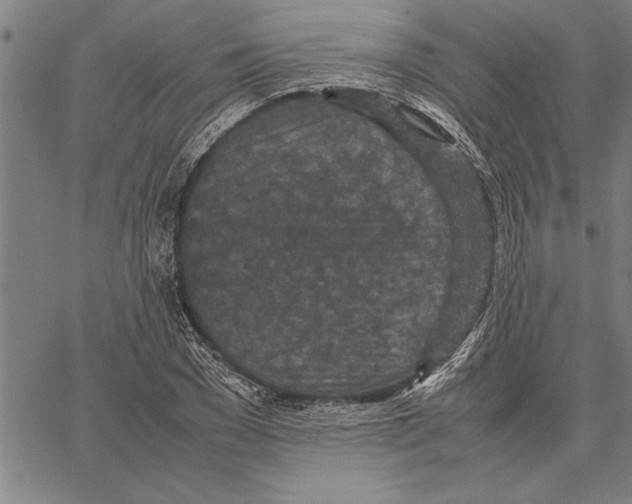 X0000066940977200604211746