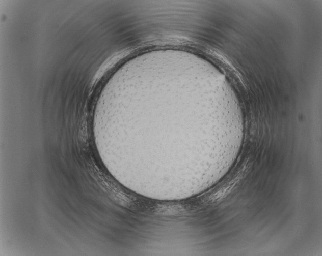 X0000066940978200604211746