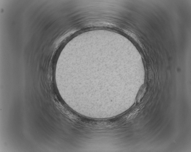 X0000066940979200604211745