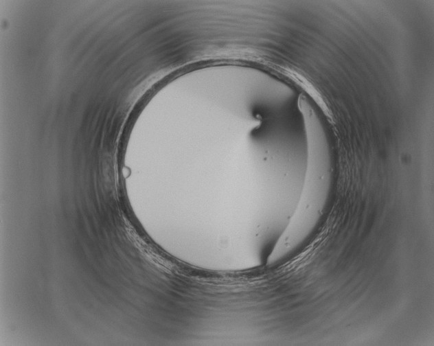 X0000066940980200604211745