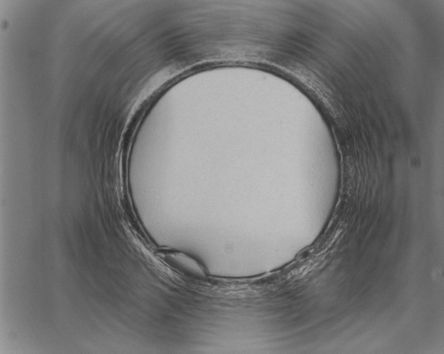 X0000066940982200604211745