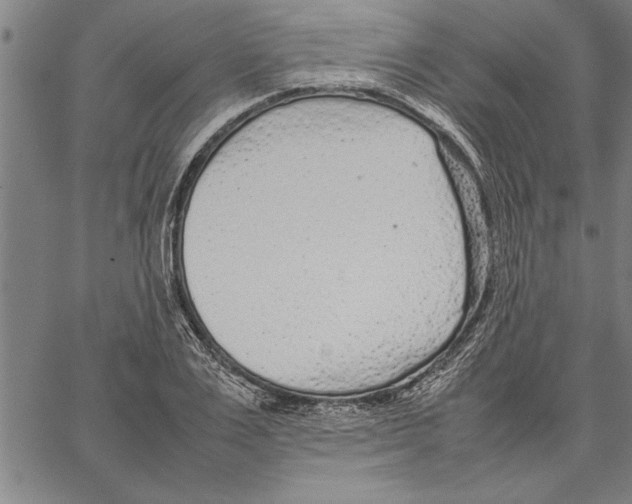 X0000066940983200604211745