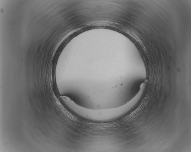 X0000066940984200604211745