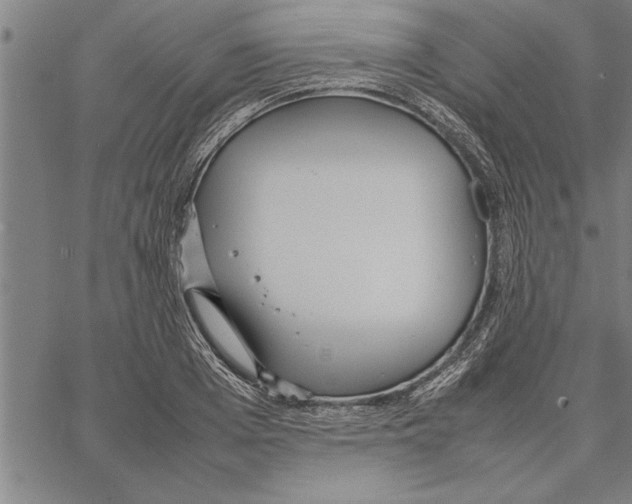 X0000066940985200604211745