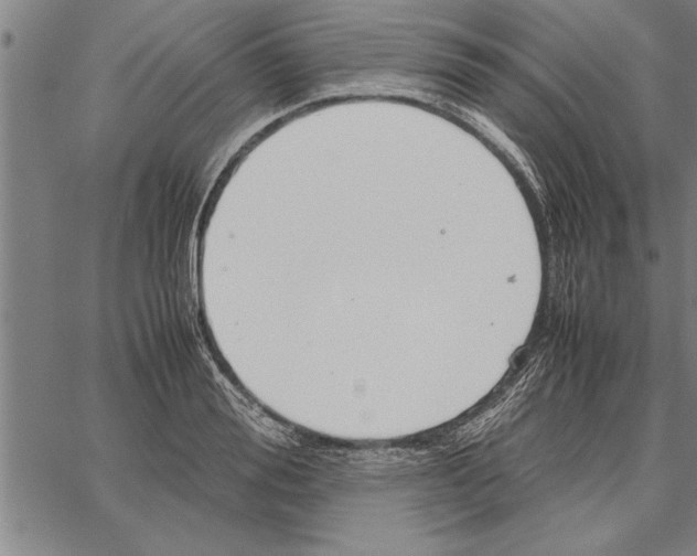 X0000066940988200604211745