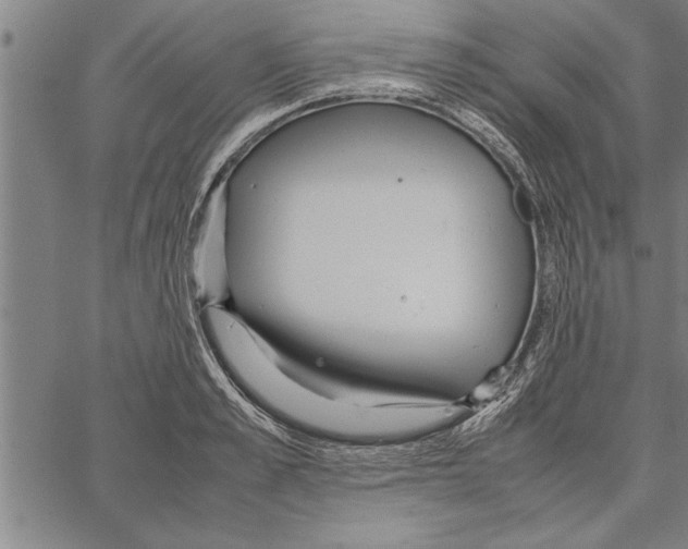 X0000066940989200604211745