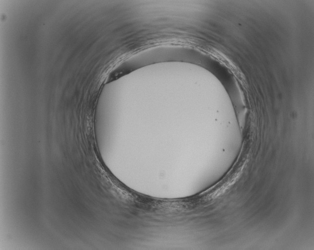 X0000066940993200604211745