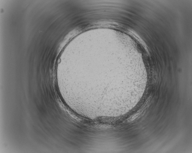 X0000066940994200604211745