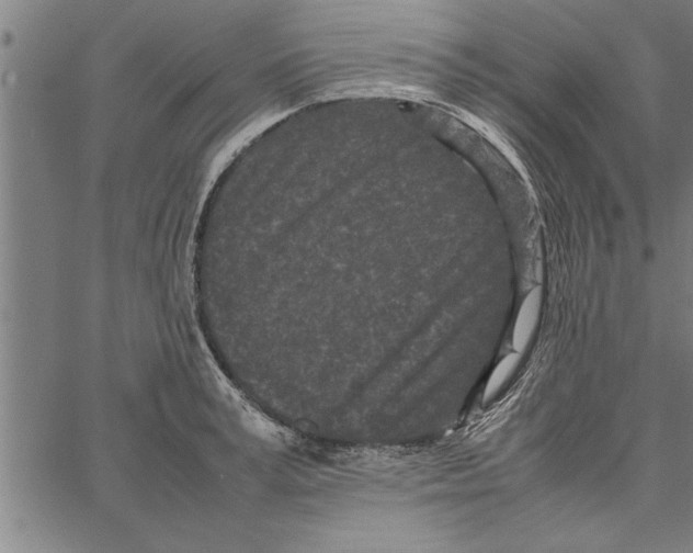 X0000066940995200604211745