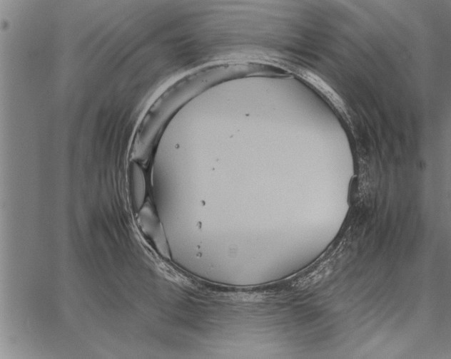 X0000066940996200604211745