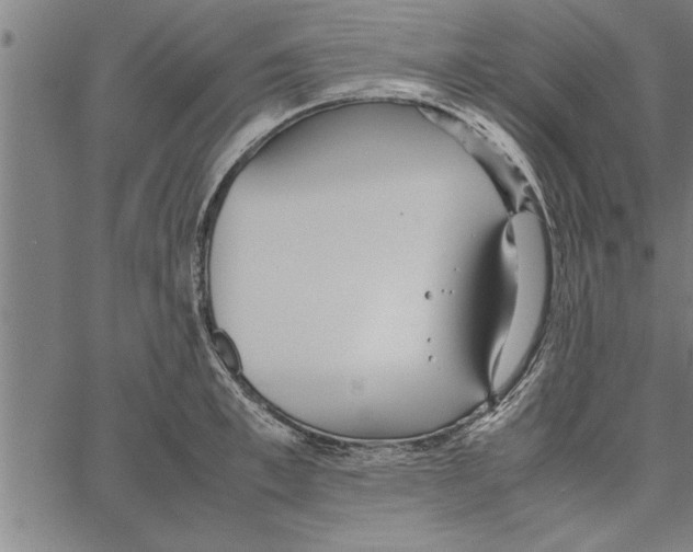 X0000066940997200604211745