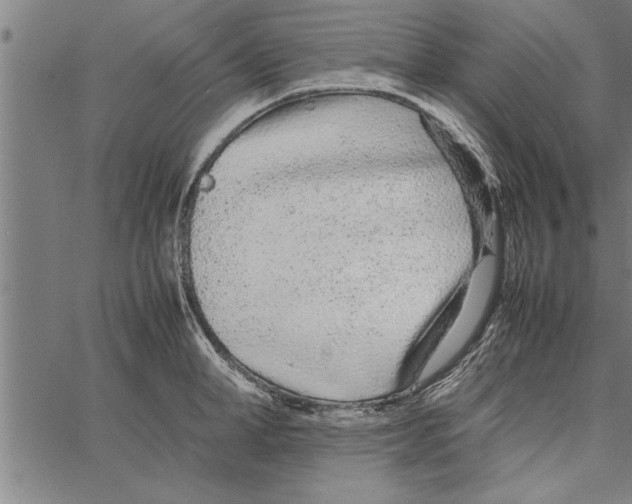 X0000066940998200604211745