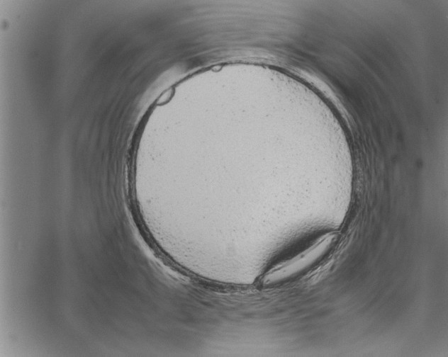 X0000066940999200604211745