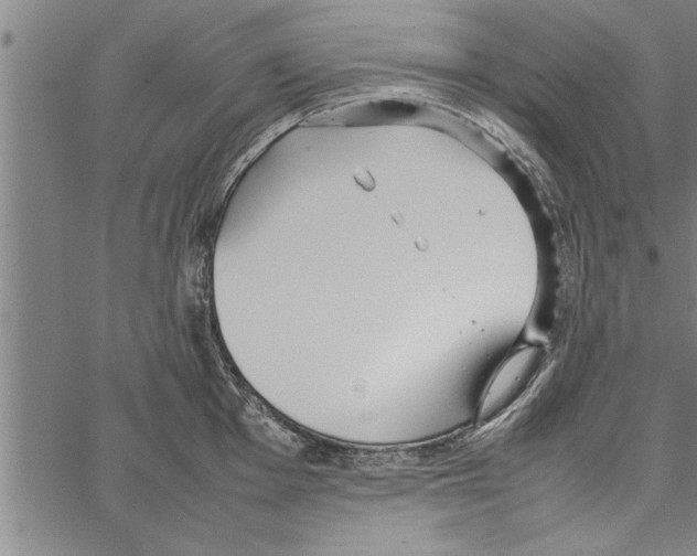 X0000066941001200604211745