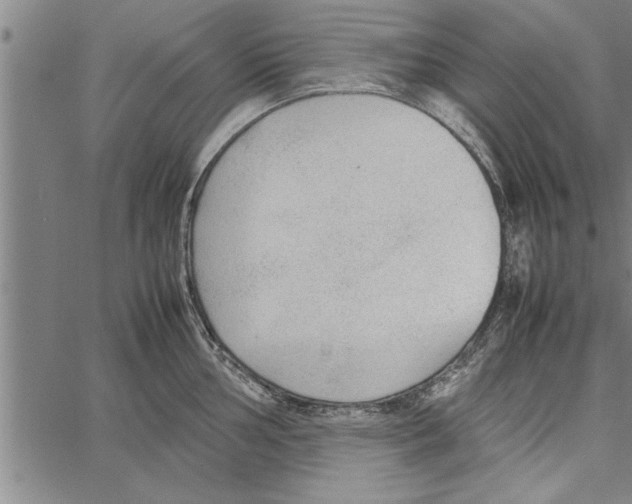 X0000066941002200604211745