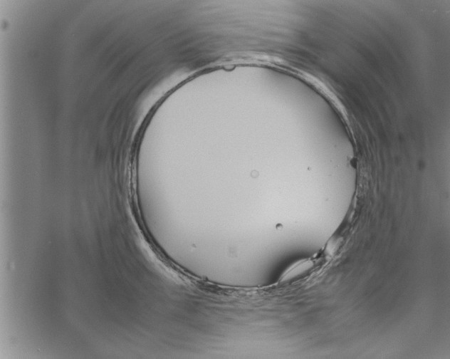 X0000066941003200604211745