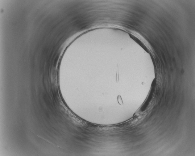 X0000066941004200604211745