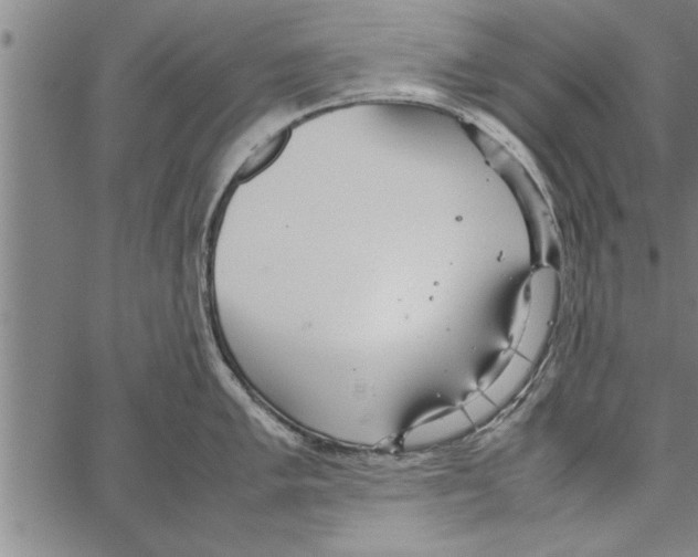 X0000066941005200604211745