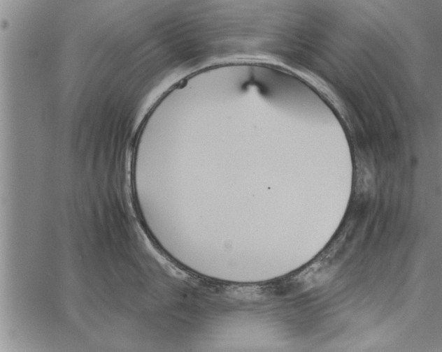 X0000066941006200604211745