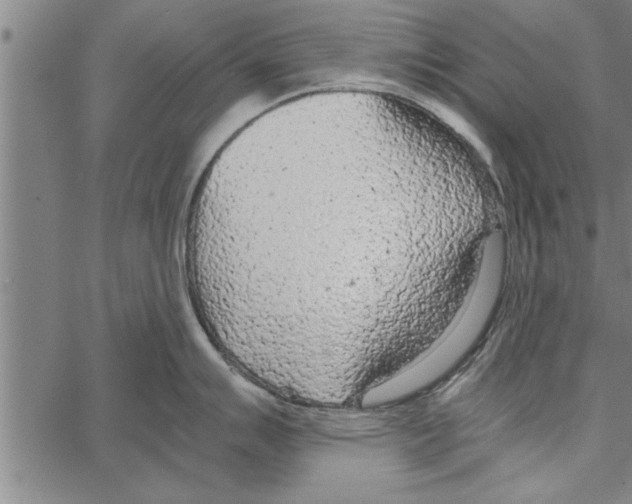 X0000066941007200604211745