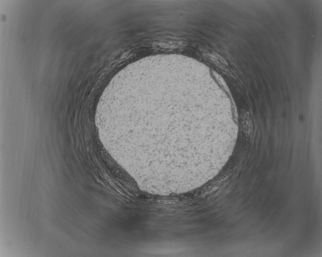 X0000066941009200604211744