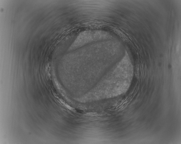 X0000066941010200604211744