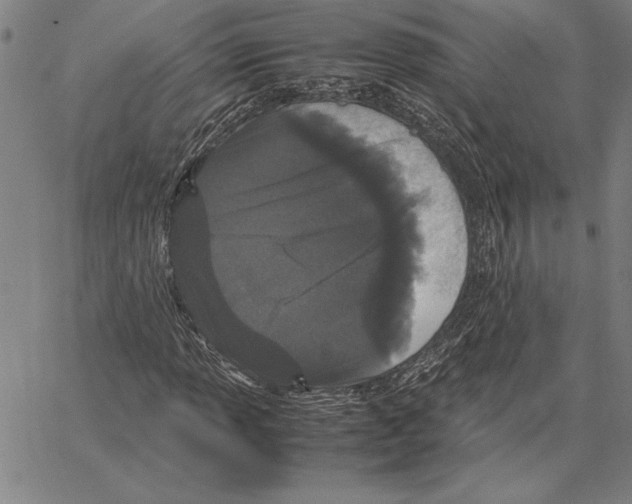 X0000066941013200604211744