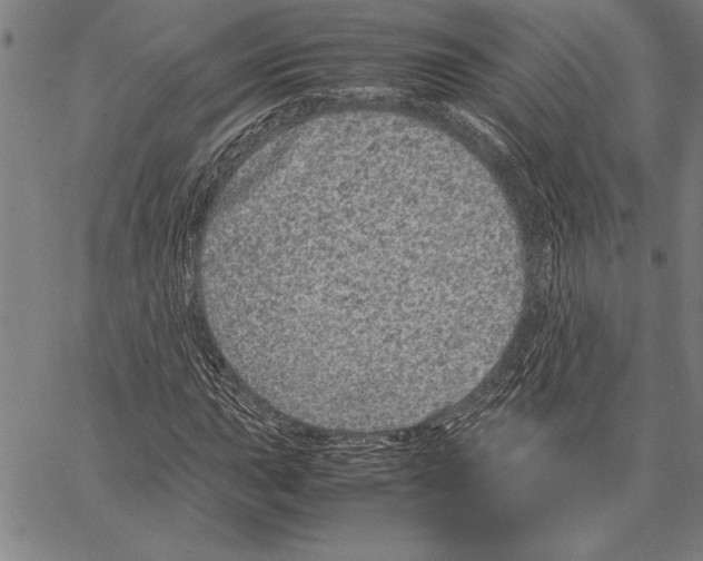 X0000066941015200604211744