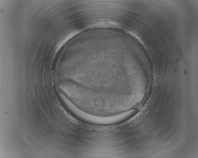 X0000066941018200604211744