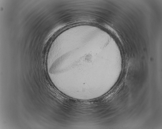 X0000066941019200604211744