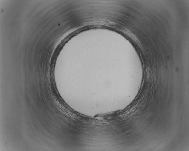 X0000066941020200604211744