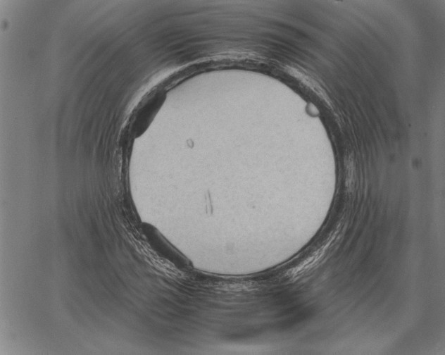 X0000066941021200604211744