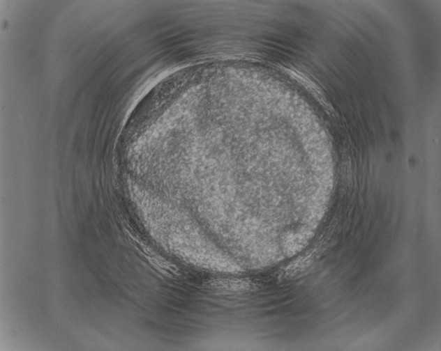 X0000066941023200604211744