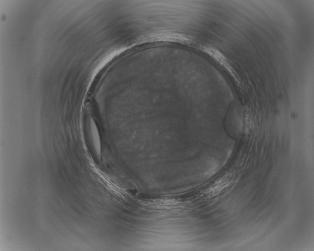 X0000066941024200604211744