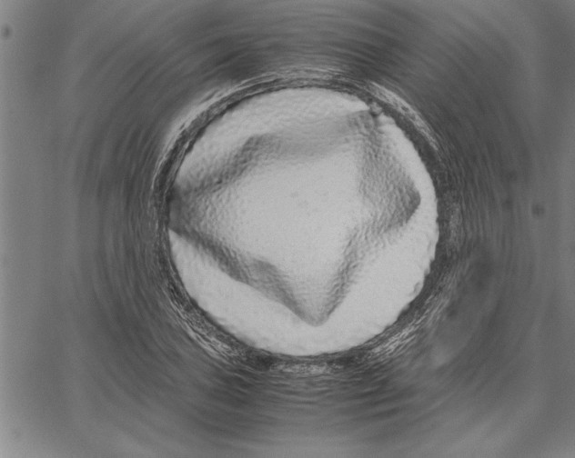 X0000066941027200604211744