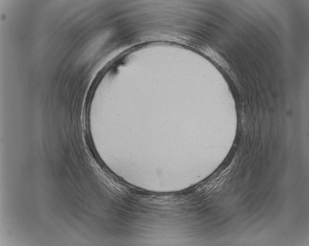 X0000066941028200604211744