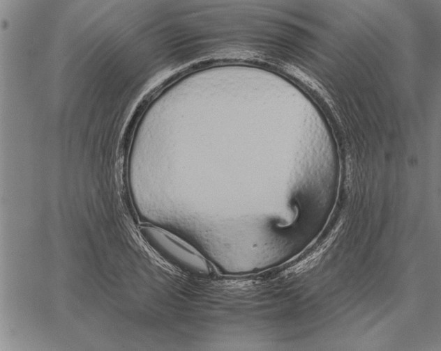 X0000066941029200604211744