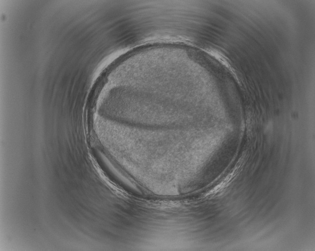 X0000066941030200604211744