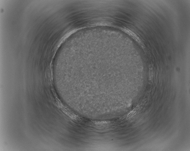 X0000066941031200604211745