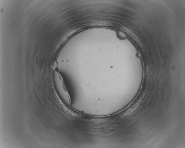 X0000066941033200604211745