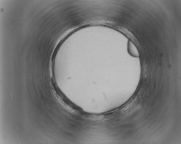 X0000066941036200604211745