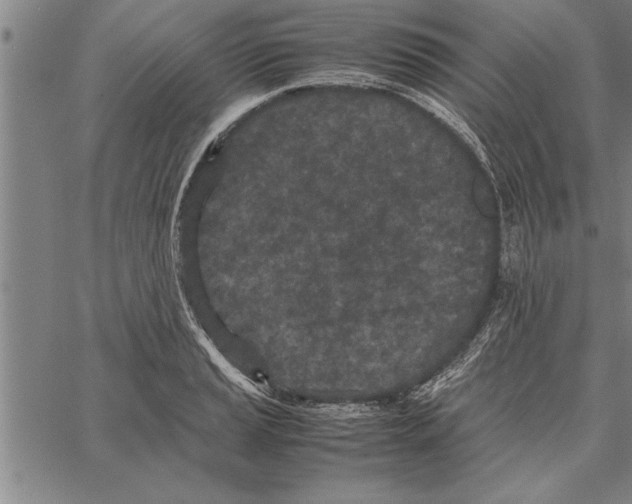 X0000066941037200604211745