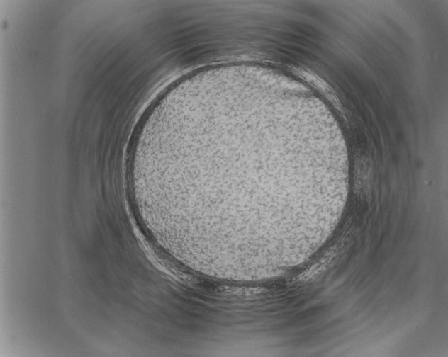 X0000066941039200604211745