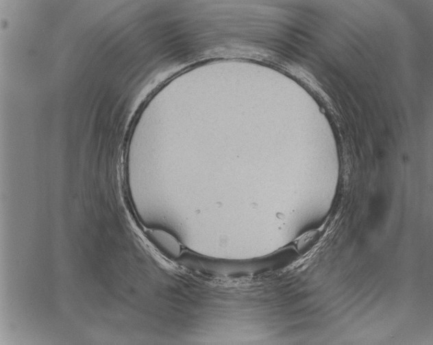 X0000066941040200604211745