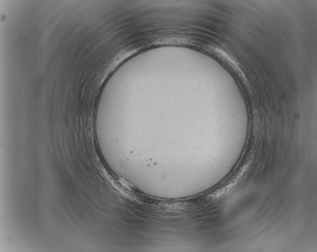 X0000066941041200604211745